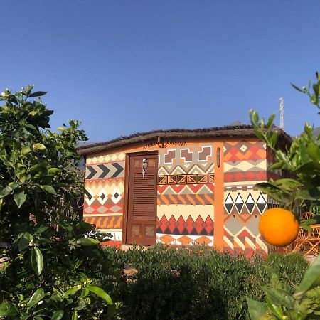 Afrikan Krisant Tenerife, Casa Rural Ecologica Arafo Bagian luar foto