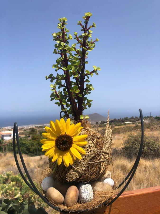 Afrikan Krisant Tenerife, Casa Rural Ecologica Arafo Bagian luar foto