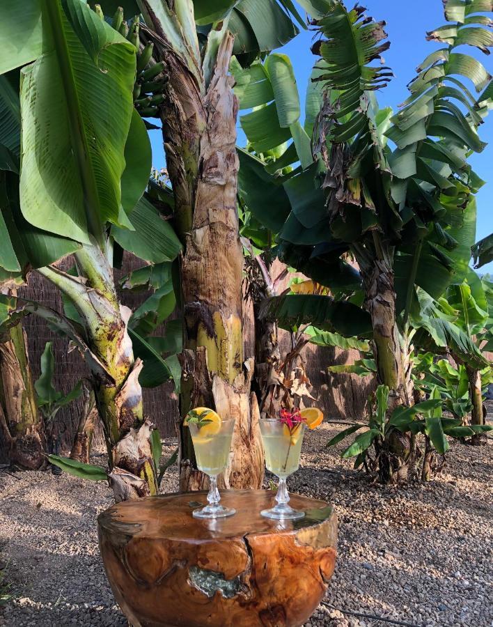 Afrikan Krisant Tenerife, Casa Rural Ecologica Arafo Bagian luar foto
