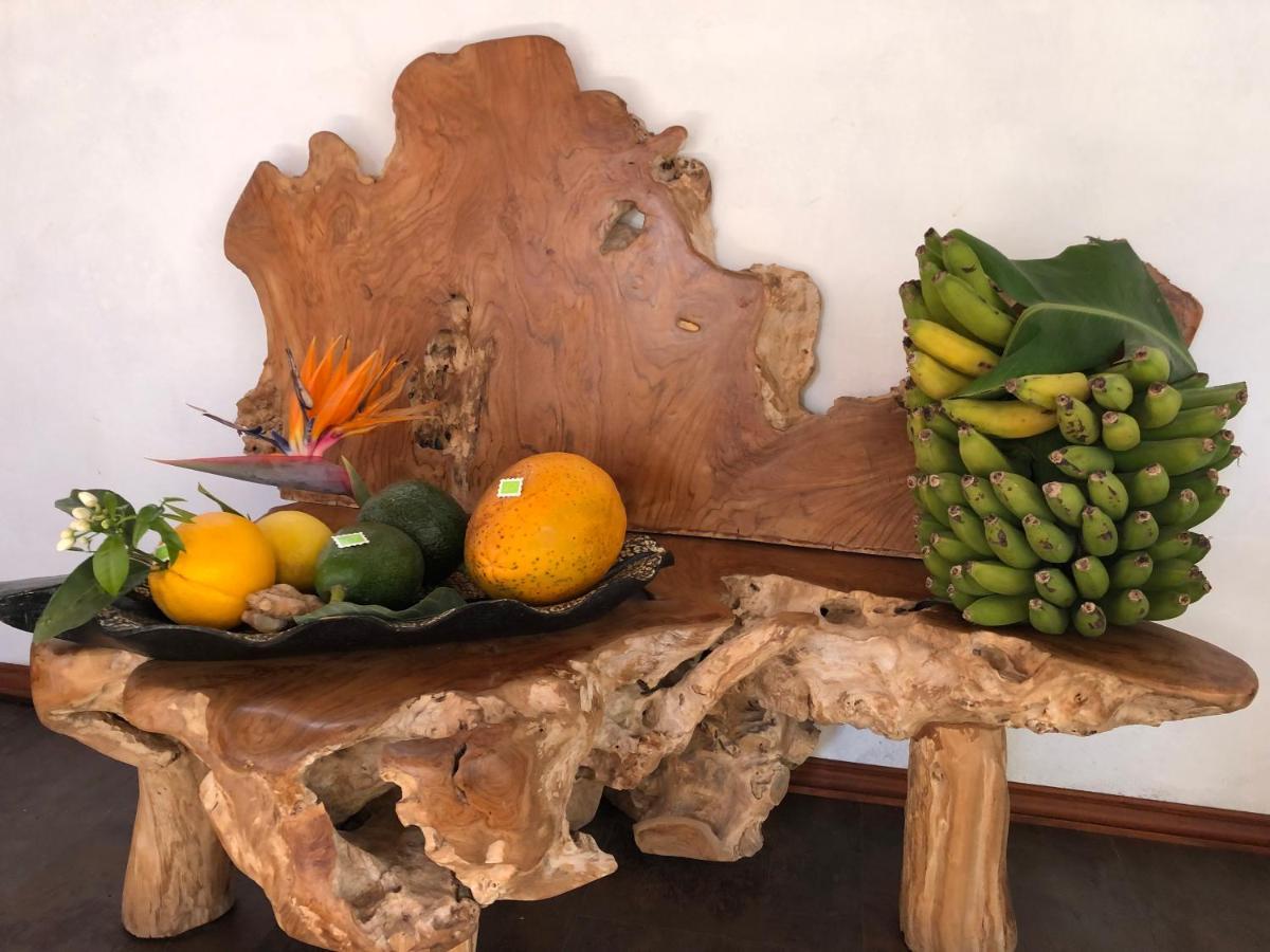 Afrikan Krisant Tenerife, Casa Rural Ecologica Arafo Bagian luar foto