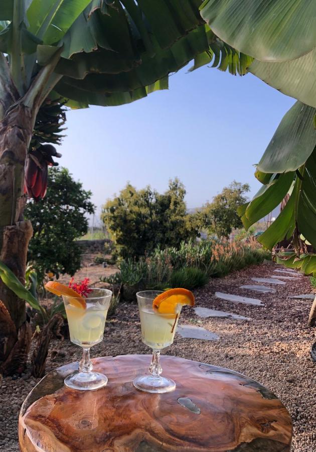 Afrikan Krisant Tenerife, Casa Rural Ecologica Arafo Bagian luar foto