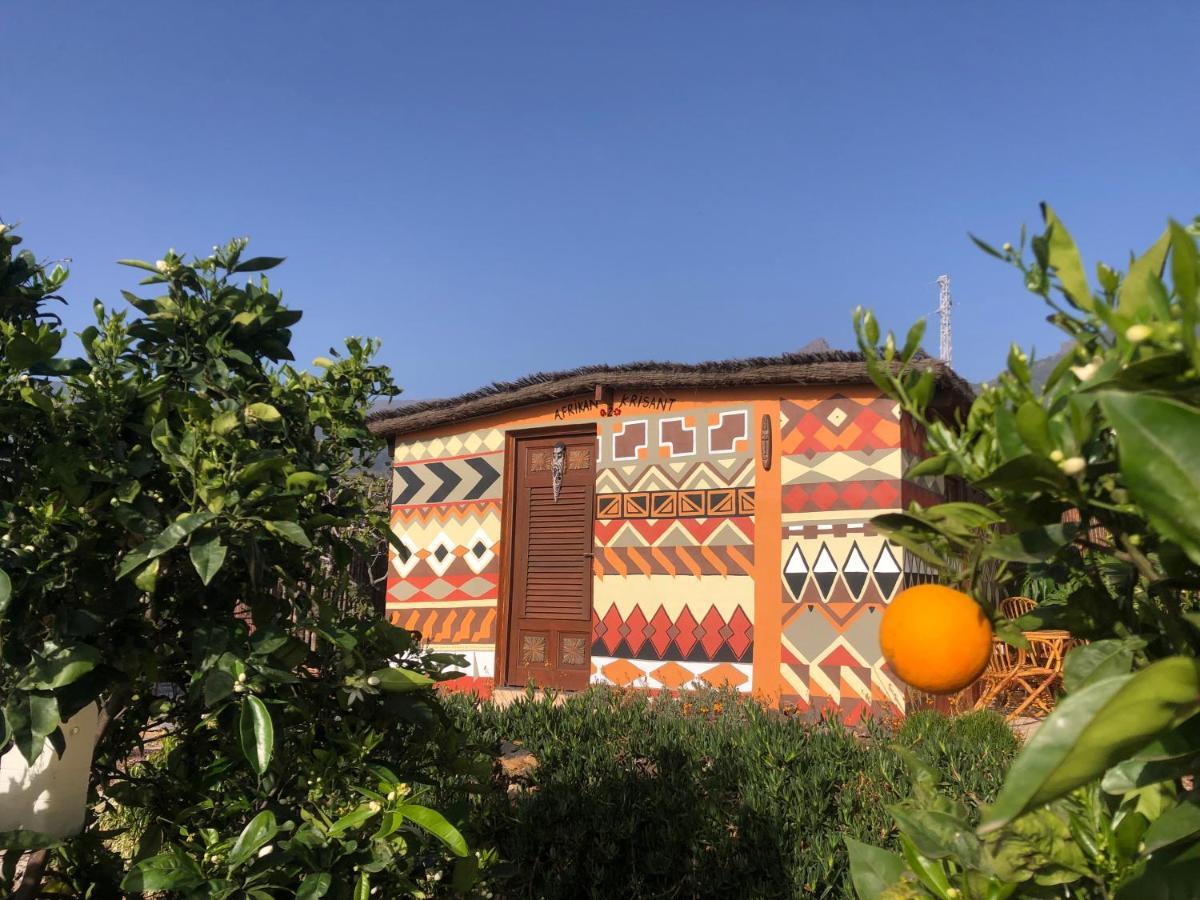 Afrikan Krisant Tenerife, Casa Rural Ecologica Arafo Bagian luar foto
