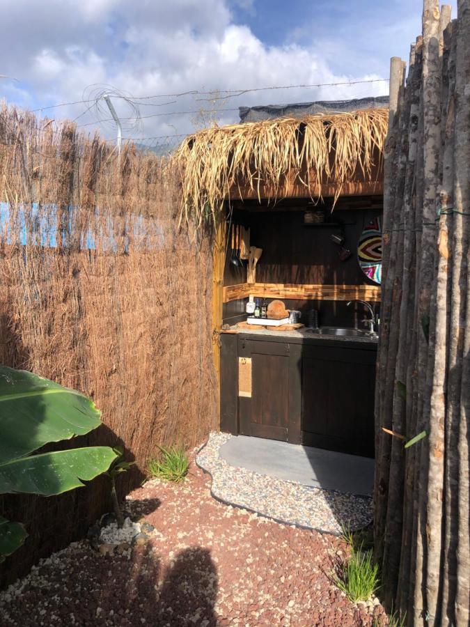 Afrikan Krisant Tenerife, Casa Rural Ecologica Arafo Bagian luar foto