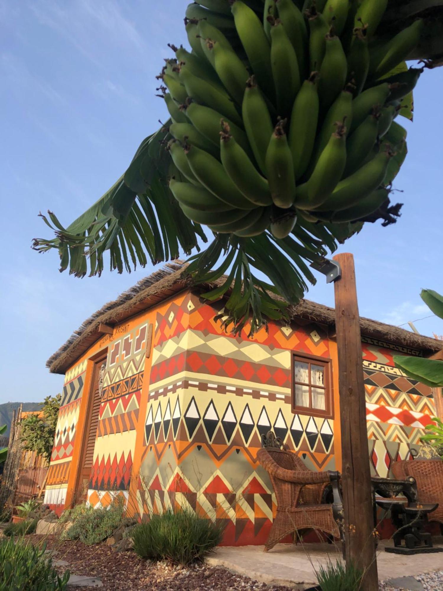 Afrikan Krisant Tenerife, Casa Rural Ecologica Arafo Bagian luar foto