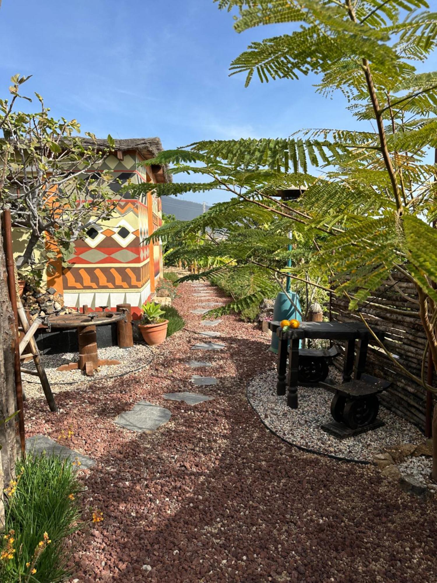 Afrikan Krisant Tenerife, Casa Rural Ecologica Arafo Bagian luar foto