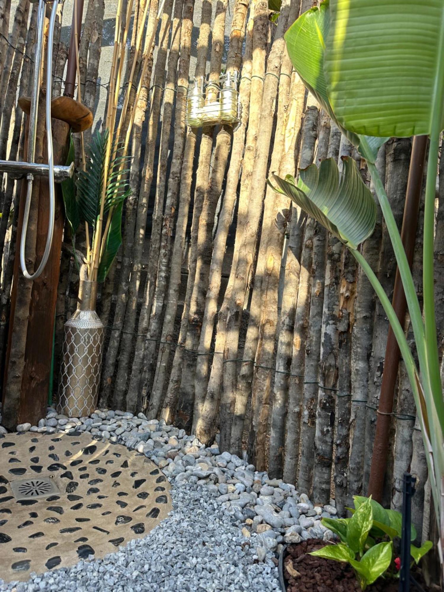 Afrikan Krisant Tenerife, Casa Rural Ecologica Arafo Bagian luar foto