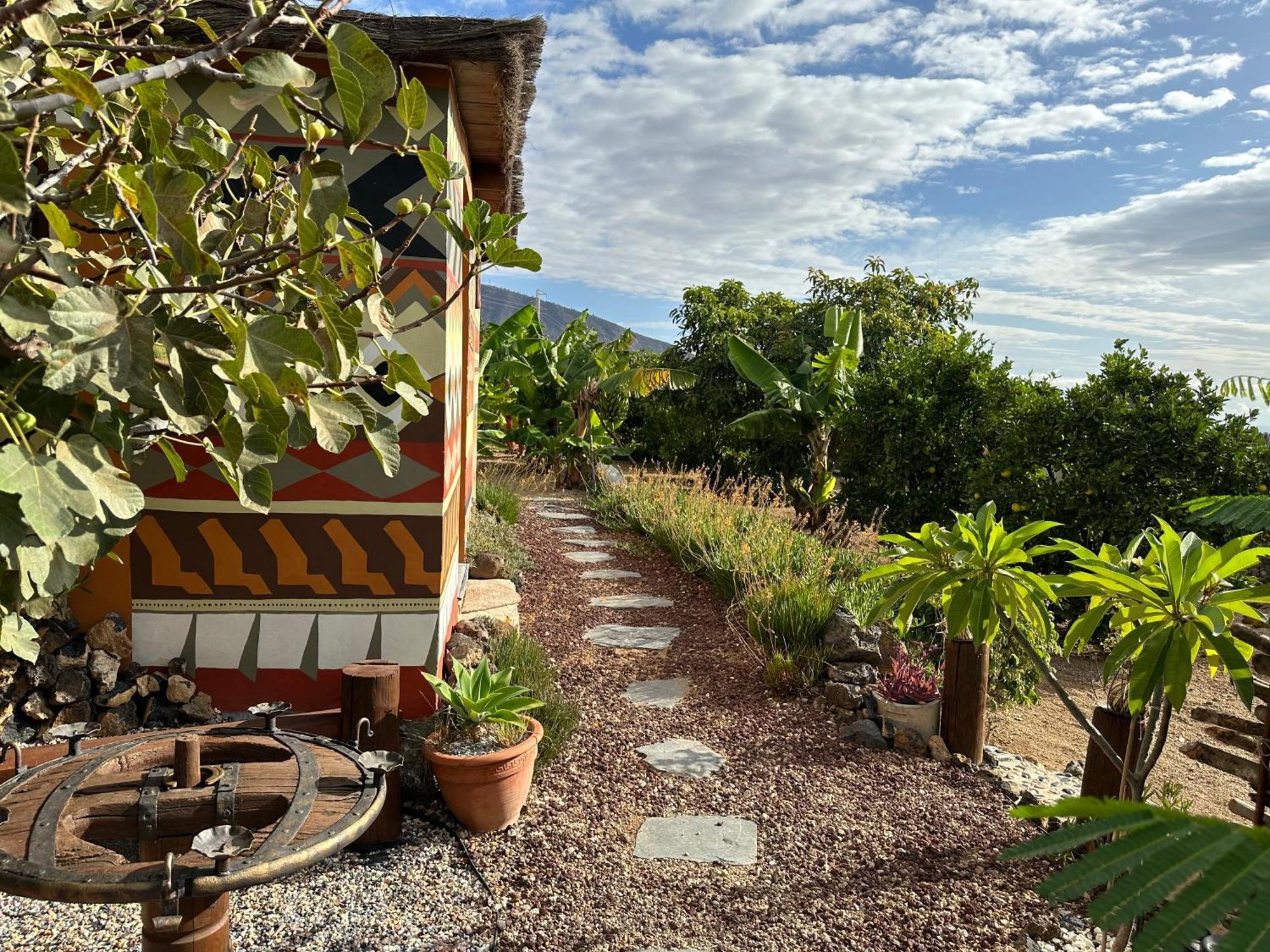 Afrikan Krisant Tenerife, Casa Rural Ecologica Arafo Bagian luar foto