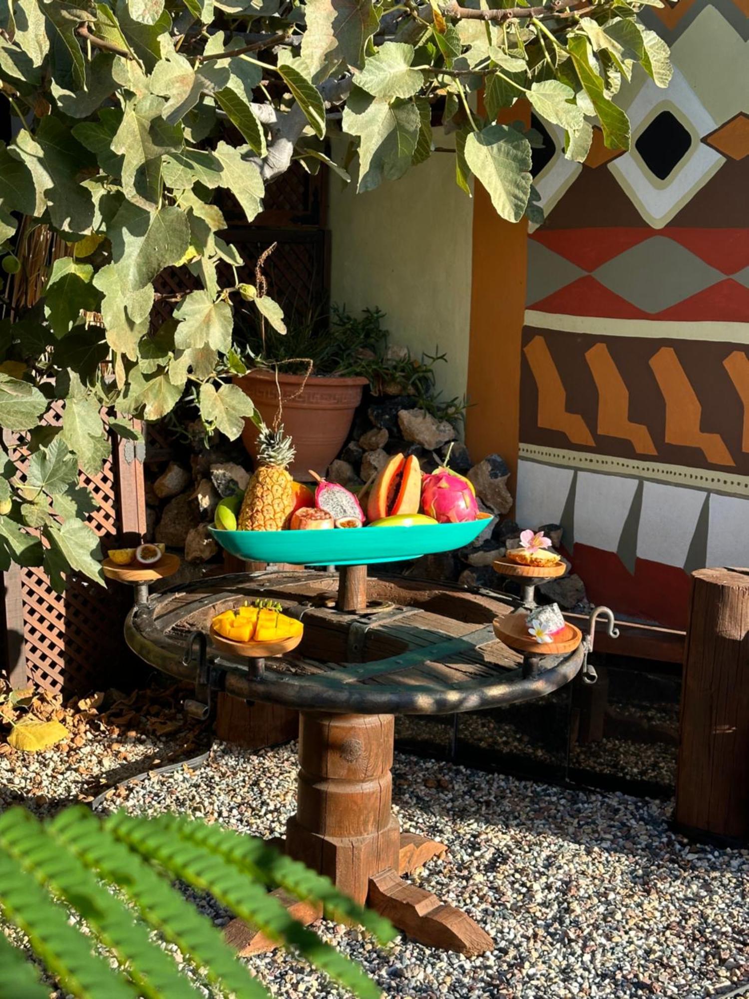 Afrikan Krisant Tenerife, Casa Rural Ecologica Arafo Bagian luar foto